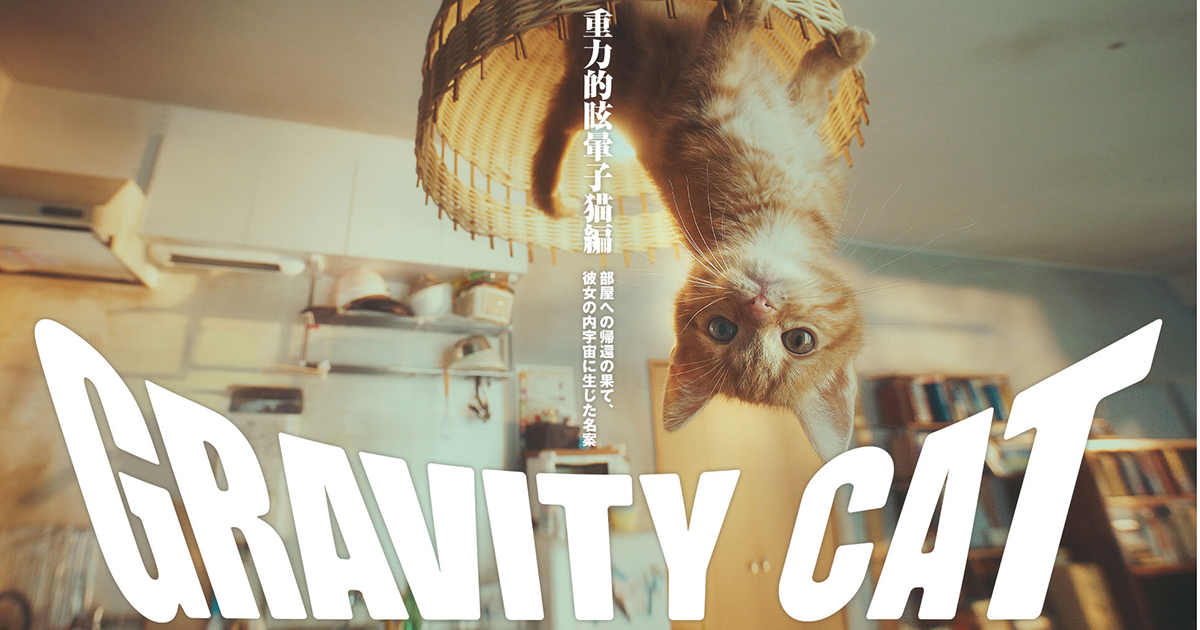 cats in no gravity cats in no gravity